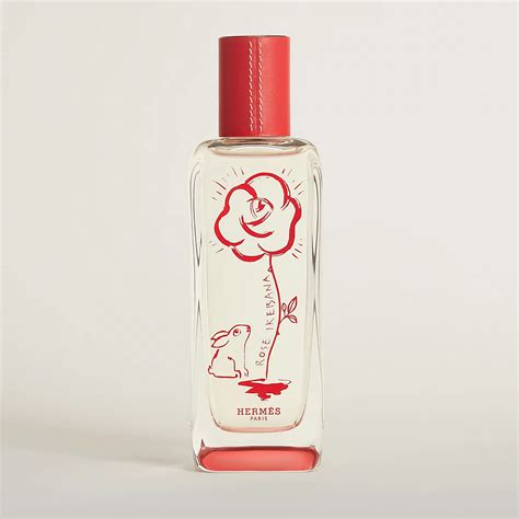 rose extreme hermes|rose ikebana hermes price.